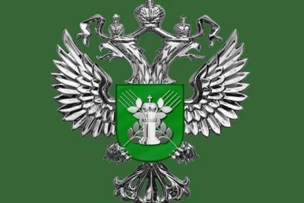 Россельхознадзор приостановил ввоз 27 тонн китайского мяса птицы в Балтийске