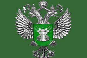Россельхознадзор приостановил ввоз 27 тонн китайского мяса птицы в Балтийске