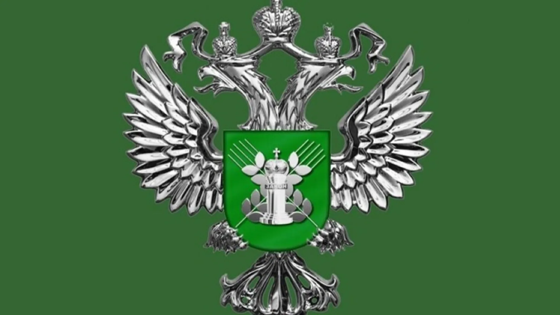 Россельхознадзор приостановил ввоз 27 тонн китайского мяса птицы в Балтийске