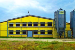 Повторные торги по продаже Белокалитвинской птицефабрики признаны несостоявшимися
