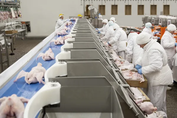 «Мираторг» за 9 месяцев выпустил 89 тыс. тонн мяса птицы