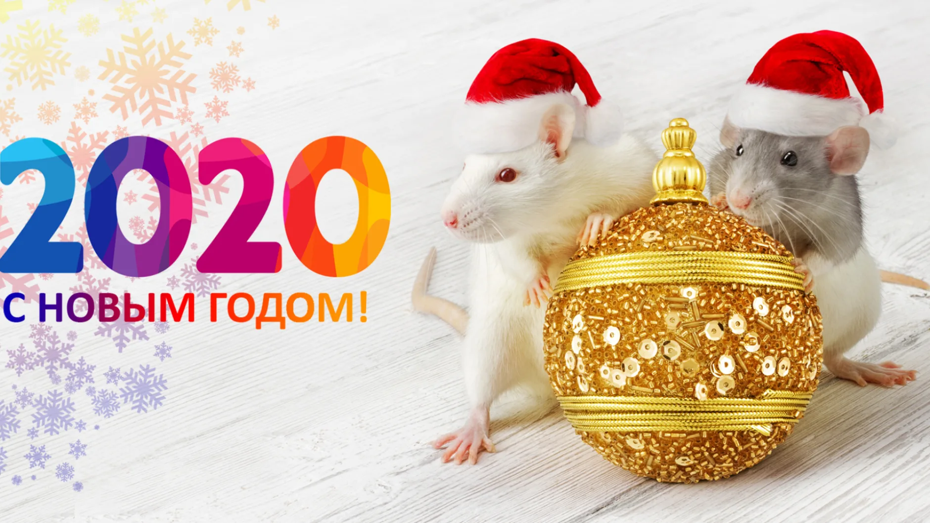 Поздравляем с Новым Годом и Рождеством!
