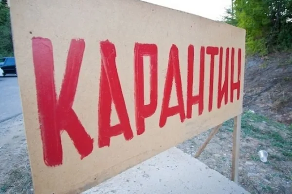 Девять хозяйств Забайкальского края пострадали от вспышки ящура