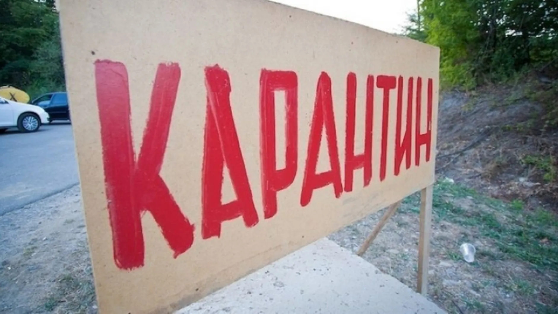 Девять хозяйств Забайкальского края пострадали от вспышки ящура