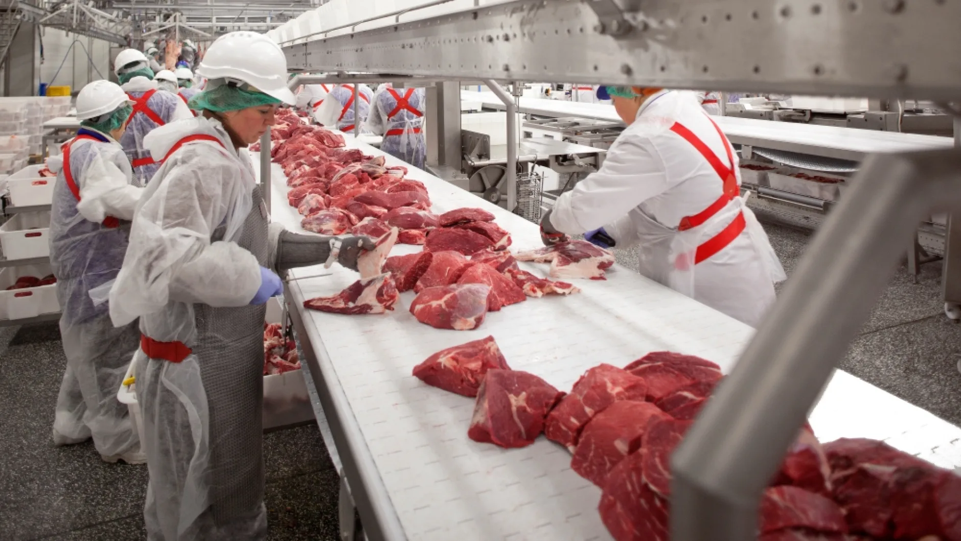 «Мираторг» отгрузил первую партию говядины в Китай