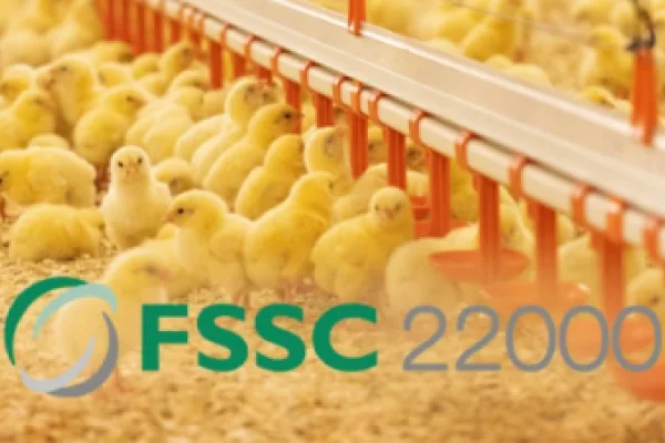«ПРОДО Птицефабрика Сибирская» получила сертификат FSSC 22000
